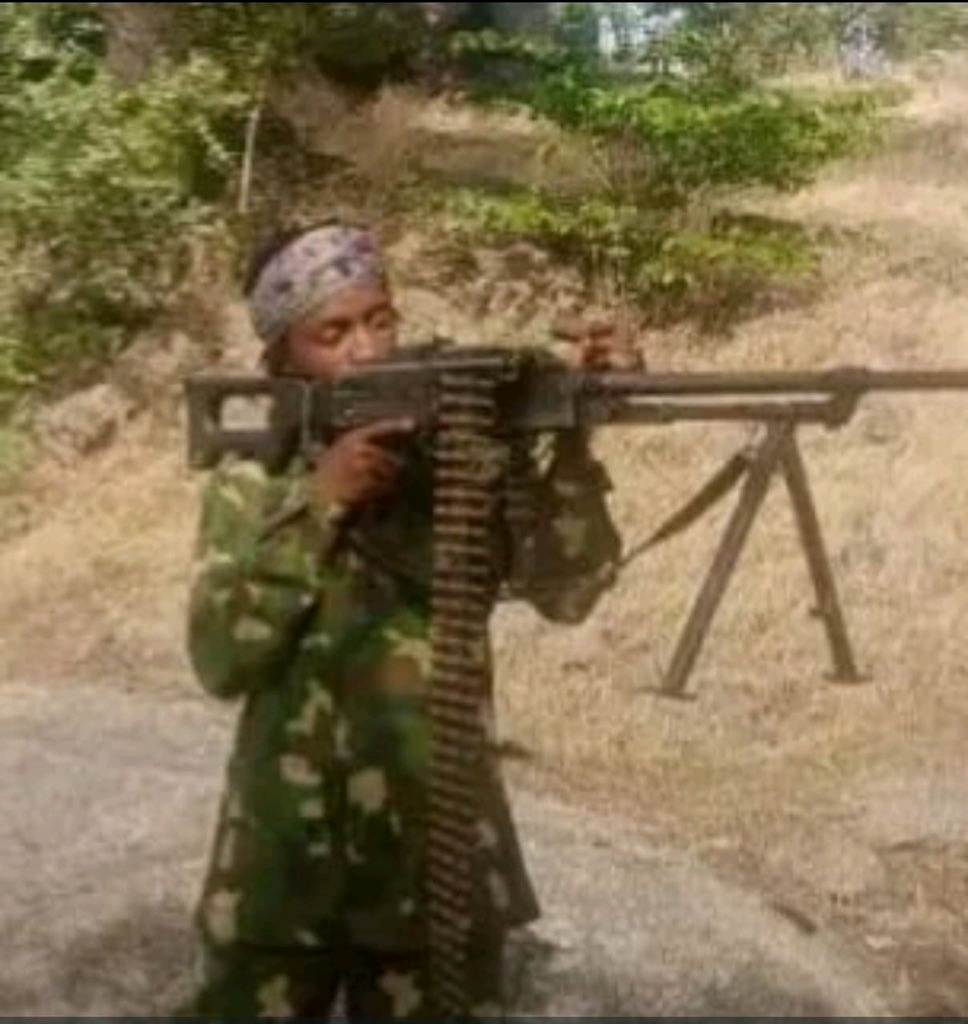 DSS, Vigilantes Kill Notorious Bandit Leader Idi Abasu Aiki, 60 Others in Katsina Operation