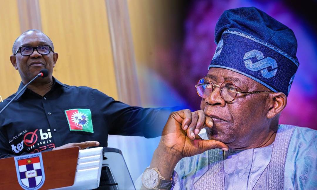 Step Down for Tinubu: South-East Group Urges Ohanaeze, Anyaoku to Persuade Obi