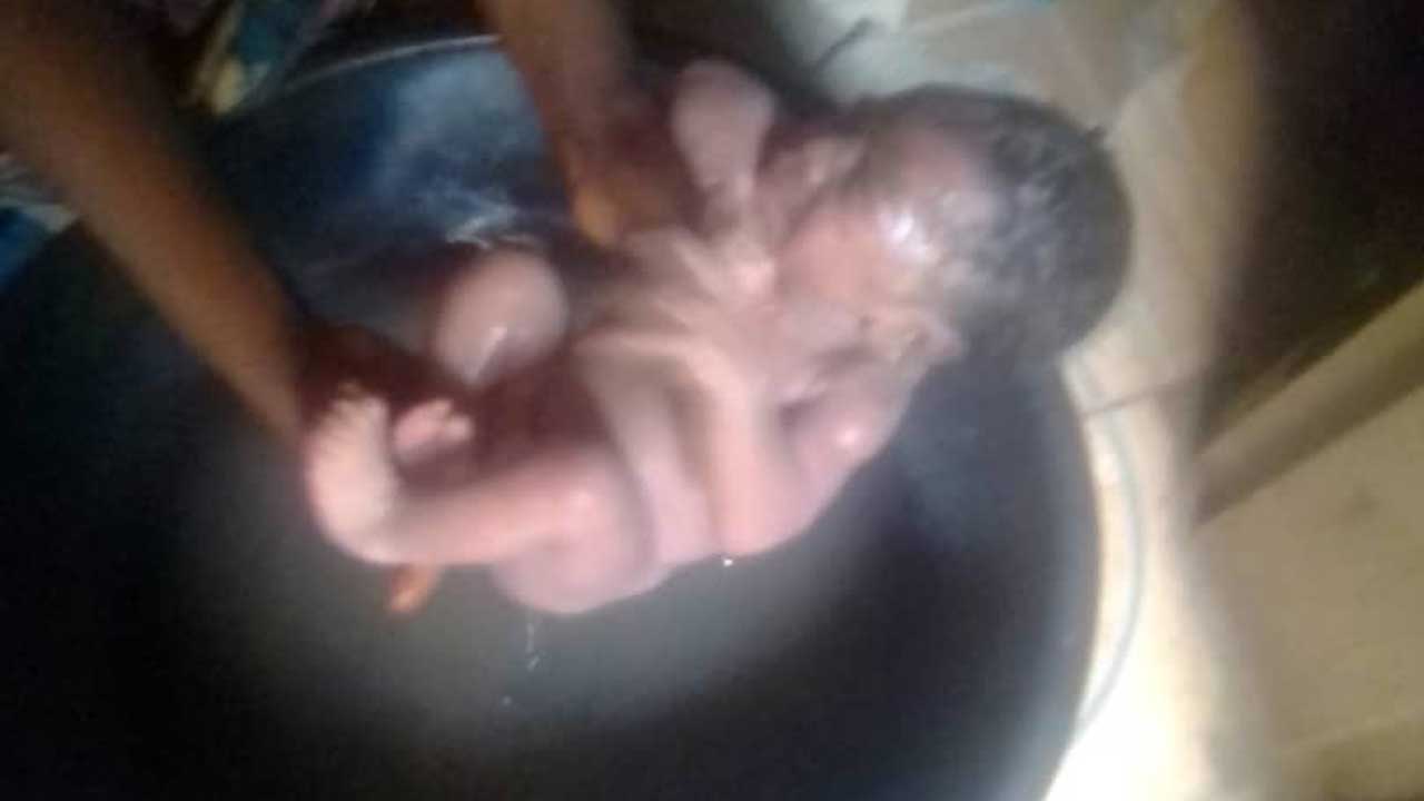 Newborn Baby Rescued After Being Abandoned in Forest for Three Days