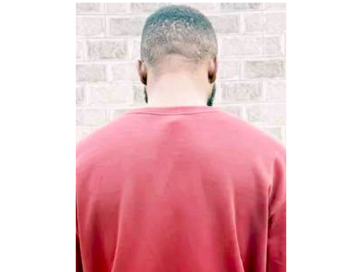 I only participated in killing four people — Arrested cult leader