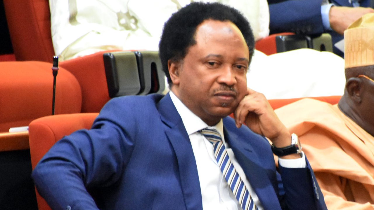 Shehu Sani Rejects Claim That Abacha Died During Sex, Calls Account Misleading